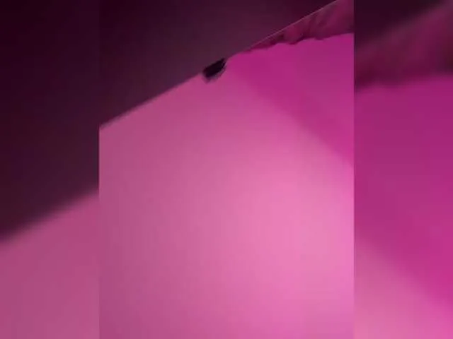 CurvyWoman- — My name is Lina, meow! Welcome to my room, shall we have fun?) Favorite vibration - 20inst: curvywoman_00