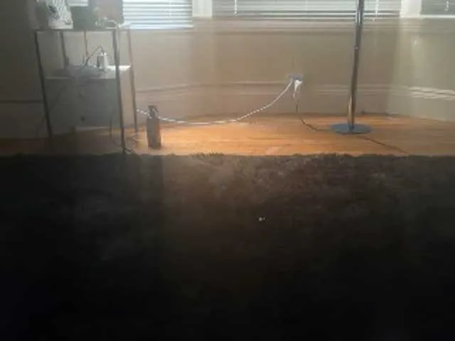 BongaCams DelightfulDark is Freechat DelightfulDark — my shows are paid per view flash conversation all spammers will be silenced or banned , followers= silenced when typing for free randoms will be banned, my privates become topless after 2 minute and every request private or public is tip menu only!