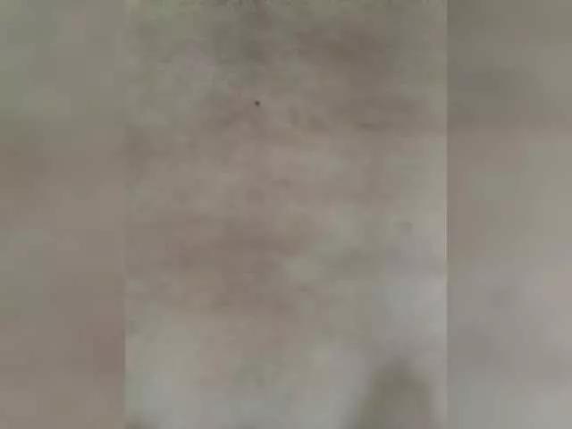 loveshotxxd1 on BongaCams