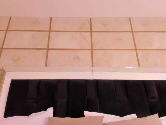 RoxyLior — GOAL IS: YUMMY TWERK WITHOUT UNDIES AND OIL Catch my attention, lick my feet LUSH ON 11,17,21,29,38,43TOTAL: @total REMAIN: @remain