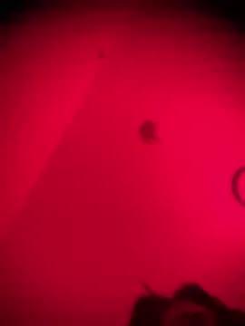 bhadglitz — Stroke That Cock 4 Me last tip get gift