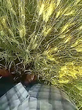 Desi_boy_fuck — Masturbation 