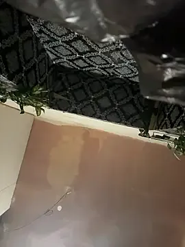 Gipsytesok — rjk el