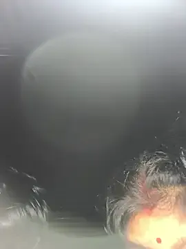 Ragni_bhargav — 7723817695