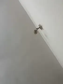 StripChat Snehameoww@xh is Private Snehameoww@xh — Massage boobs with lotion