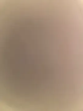 SomeWhatFoxyX — new vibe/outfits